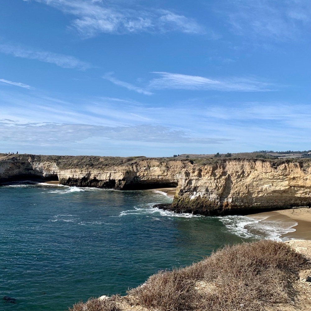 Meet your Posher, Ellie